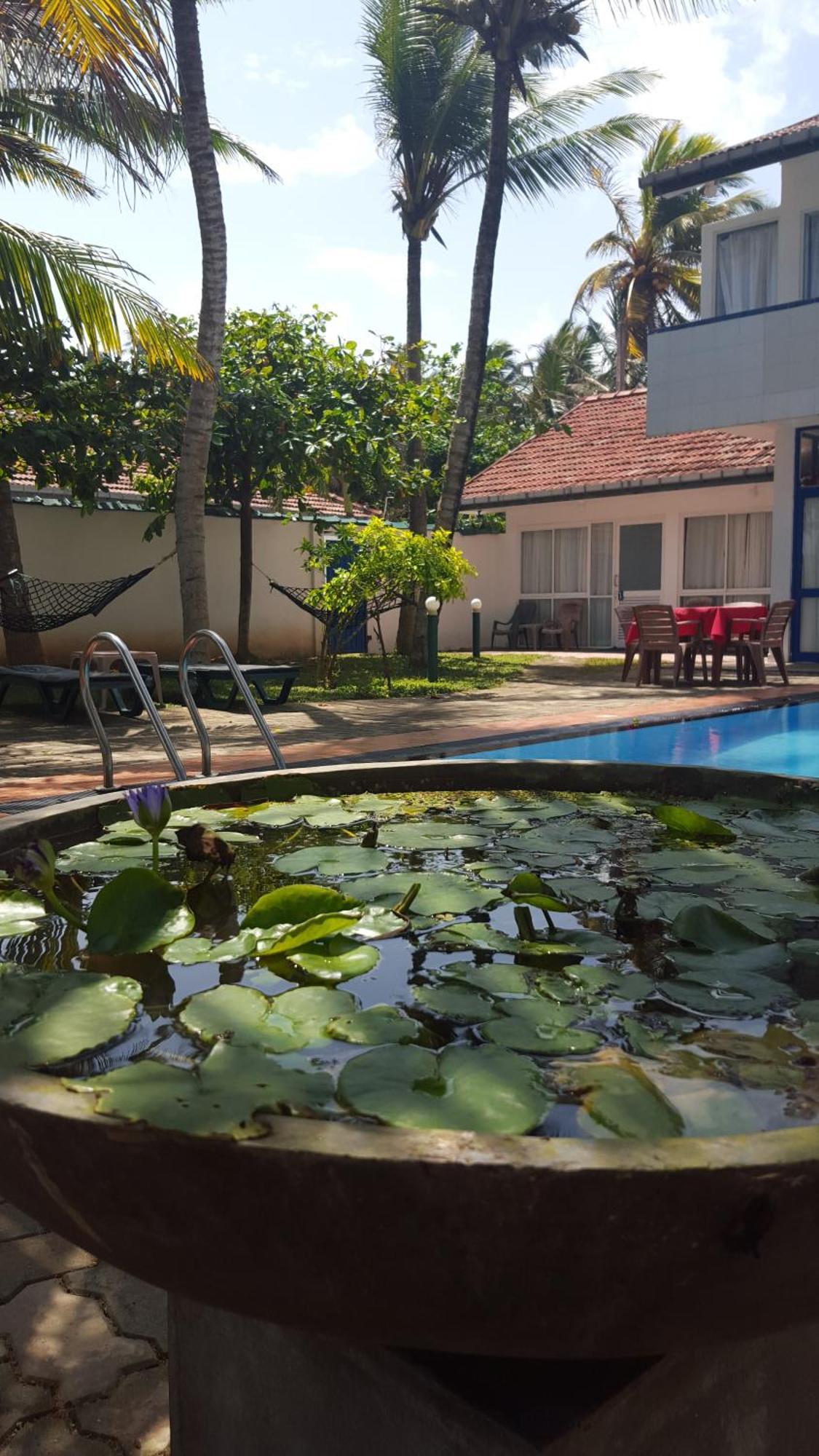 Resort Edelweiss